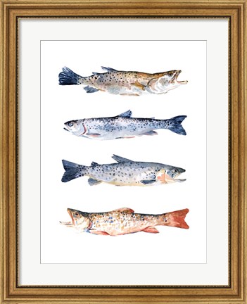 Framed Stacked Trout I Print