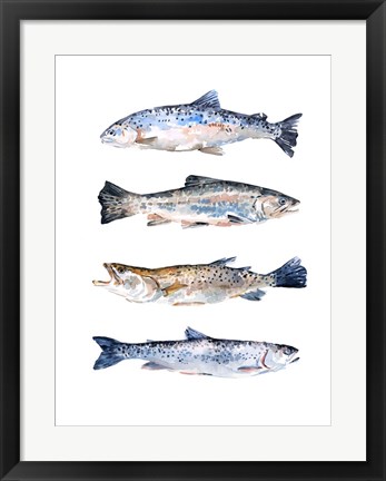 Framed Stacked Trout II Print