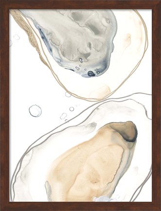 Framed Ocean Oysters IV Print
