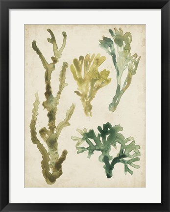 Framed Vintage Sea Fronds V Print