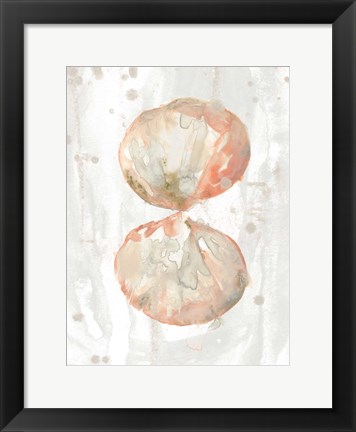 Framed Muted Molusk I Print