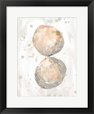 Framed Muted Molusk II Print