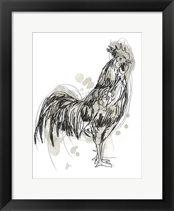 Framed Feathered Fowl III Print