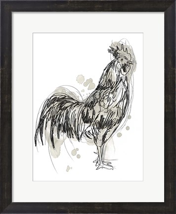 Framed Feathered Fowl III Print