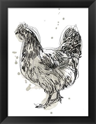 Framed Feathered Fowl IV Print