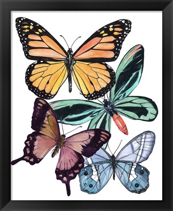 Framed Butterfly Swatches I Print