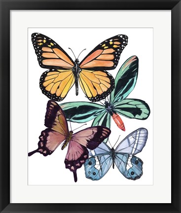 Framed Butterfly Swatches I Print