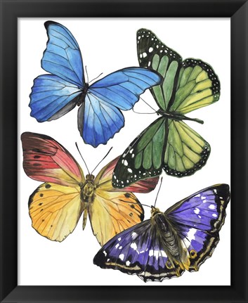 Framed Butterfly Swatches II Print