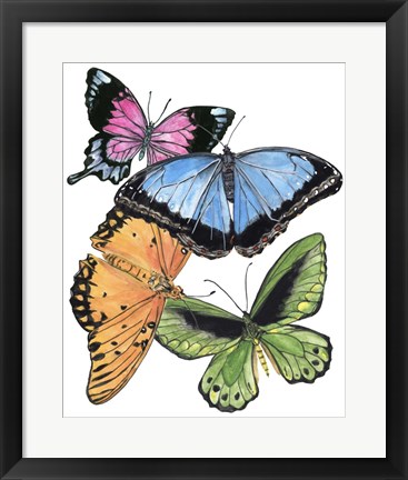 Framed Butterfly Swatches III Print