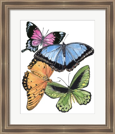Framed Butterfly Swatches III Print