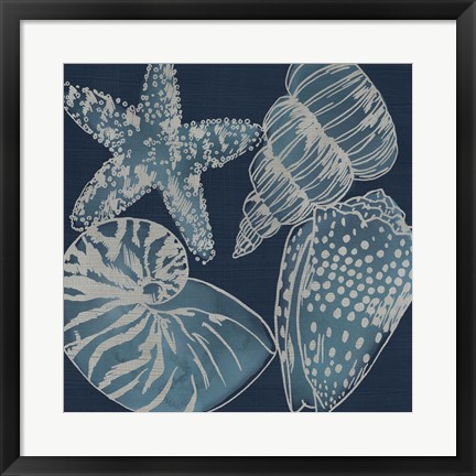 Framed Marine Shells I Print
