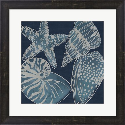 Framed Marine Shells I Print