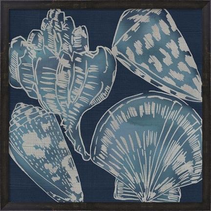 Framed Marine Shells II Print