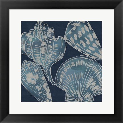 Framed Marine Shells II Print