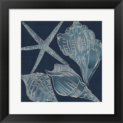 Framed Marine Shells III Print