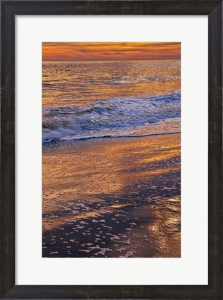 Framed Sunset Reflections, Cape May NJ Print