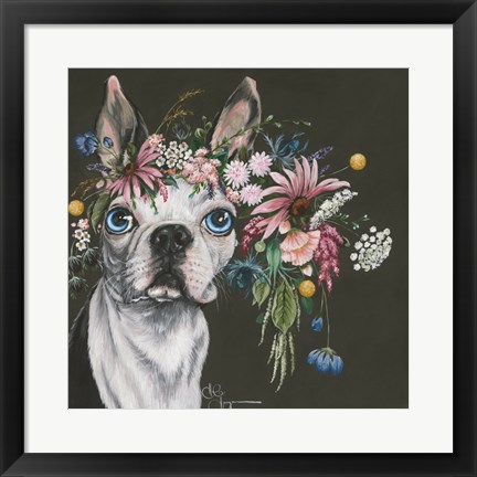 Framed Boston Terrier Print