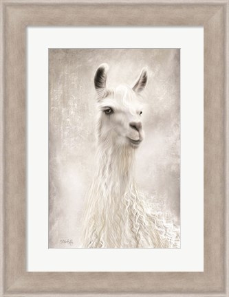 Framed Lulu the Llama Up Close Print