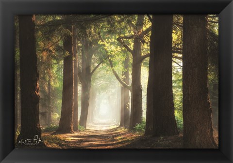 Framed Fresh Green Forest Print