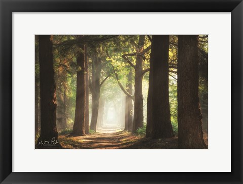 Framed Fresh Green Forest Print