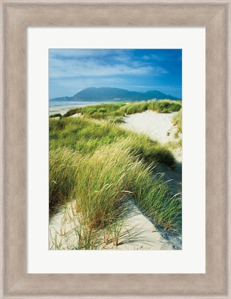 Framed Oregon Dunes Grass Print