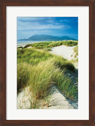 Framed Oregon Dunes Grass Print