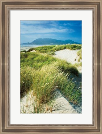 Framed Oregon Dunes Grass Print