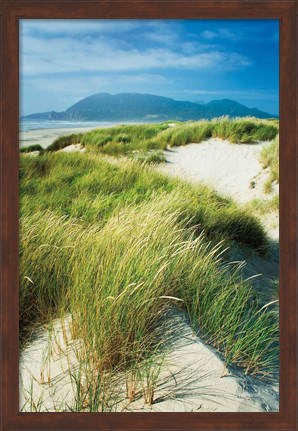 Framed Oregon Dunes Grass Print