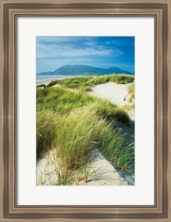 Framed Oregon Dunes Grass Print