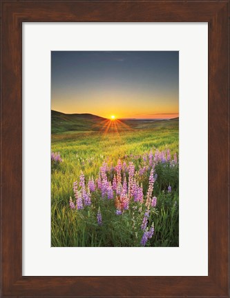 Framed Prairie Sunrise Print