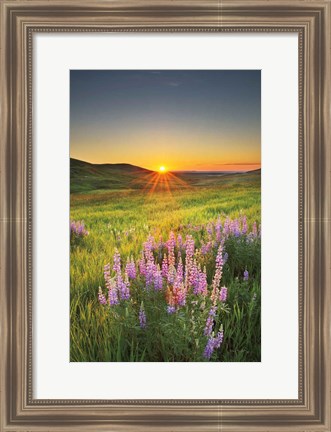 Framed Prairie Sunrise Print