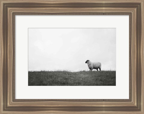 Framed Islay Sheep II Print