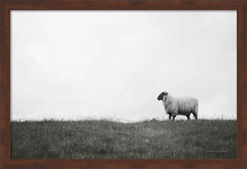 Framed Islay Sheep II Print