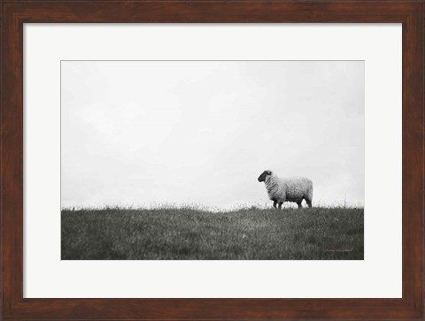 Framed Islay Sheep II Print