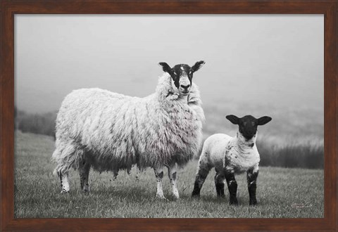 Framed Islay Sheep I Print