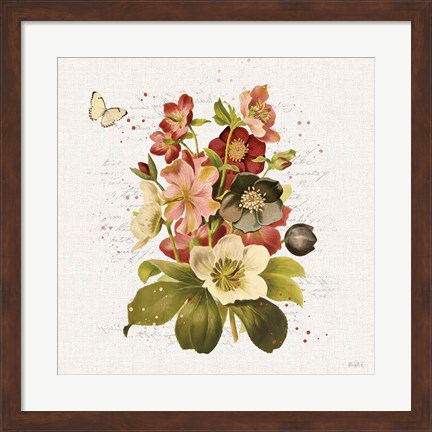 Framed Vintage Petals VI Print