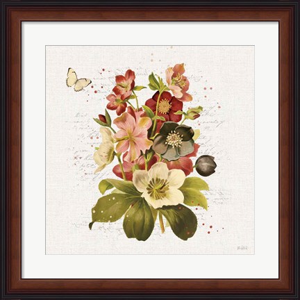 Framed Vintage Petals VI Print