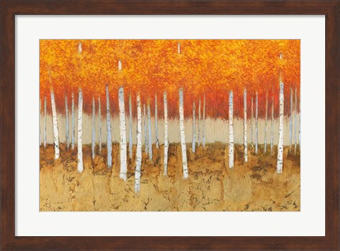 Framed Autumn Birches Print