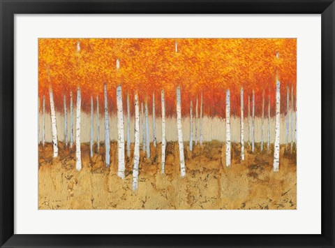 Framed Autumn Birches Print