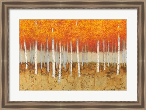 Framed Autumn Birches Print