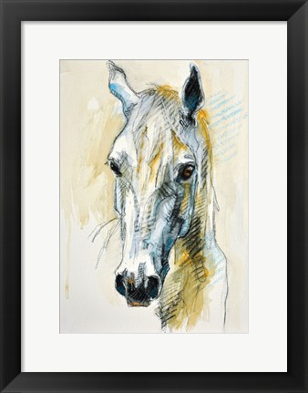 Framed Horse Head Print