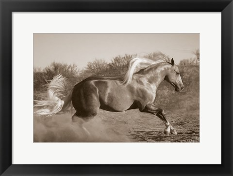 Framed Platinum Centerfold (sepia) Print