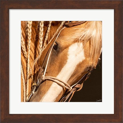 Framed Palomino n Vogue Print