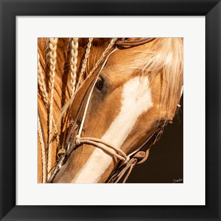 Framed Palomino n Vogue Print