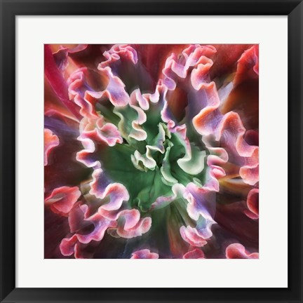 Framed Rippled Edges Print