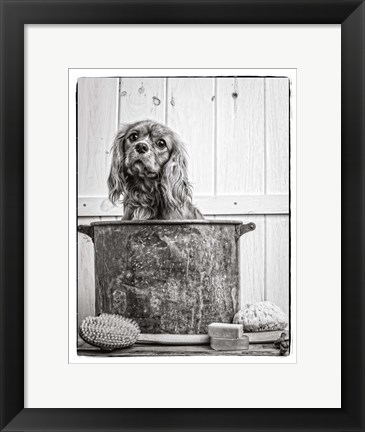 Framed Vintage Puppy Bath Print