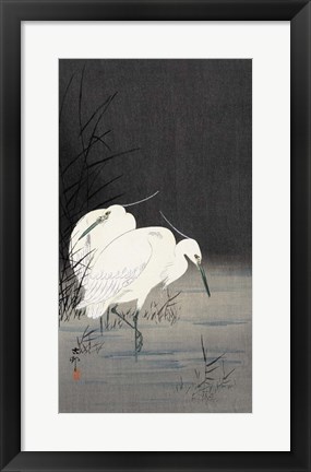 Framed Two Egrets in the Reeds, 1900-1930 Print