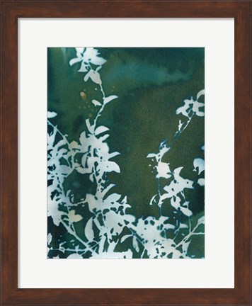 Framed Dark Garden Print