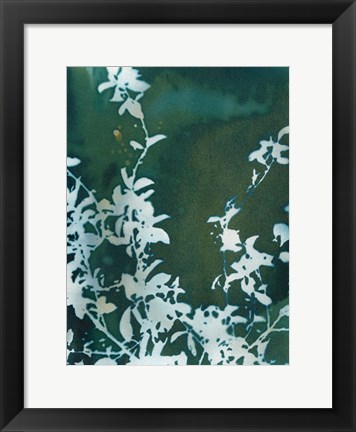 Framed Dark Garden Print