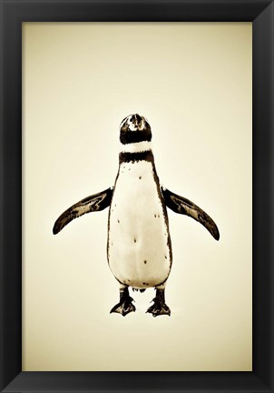 Framed Penguin Print